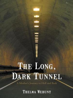 Cover of the book The Long, Dark Tunnel by Nichole Conley