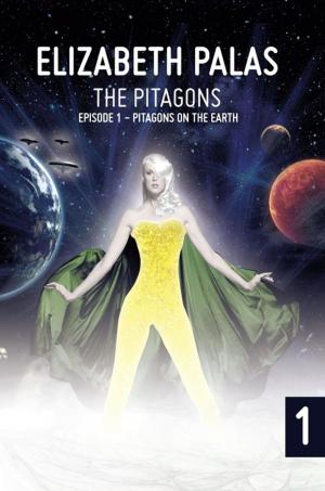 Cover of the book The Pitagons by Lori Hendricks
