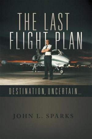 bigCover of the book The Last Flight Plan by 