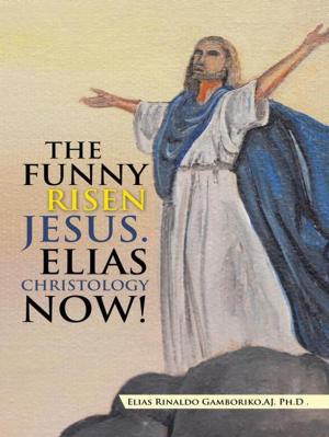 Cover of the book The Funny Risen Jesus. Elias Christology Now! by Don Nix J.D. Ph.D.