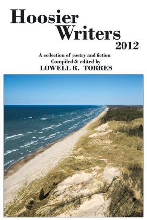 Cover of the book Hoosier Writers 2012 by Michael Adi Nachman