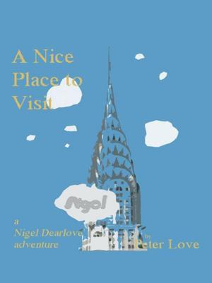 bigCover of the book A Nice Place to Visit by 