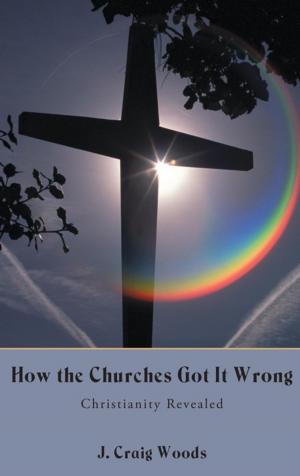 Cover of the book How the Churches Got It Wrong by Jerry Criteser