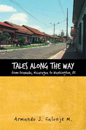 Cover of the book Tales Along the Way from Granada, Nicaragua to Washington, Dc by Ben Mathes, Karin Clack