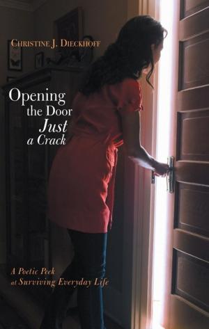 Cover of the book Opening the Door Just a Crack by RoRo Adaiah