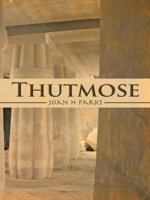 Cover of the book Thutmose by Martin Stockton