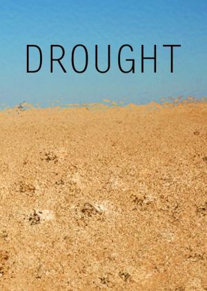 Cover of the book Drought by Rachel A Olson