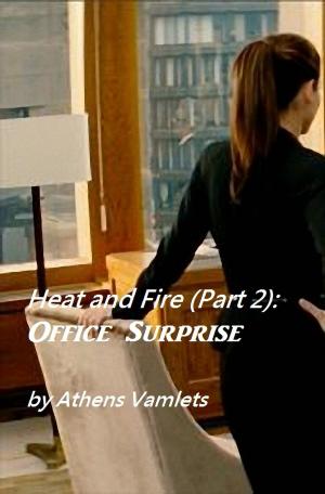 Cover of the book Heat and Fire (Part 2): Office Surprise by Evan G Andrew