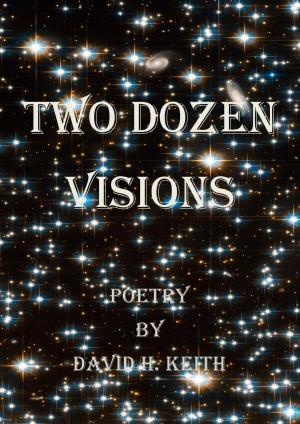 Book cover of Two Dozen Visions