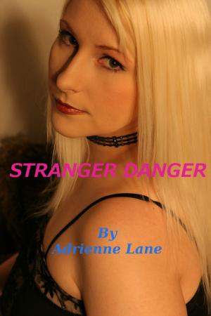 Cover of the book Stranger Danger by Anna Fock