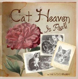 Cover of Cat Heaven Is Real
