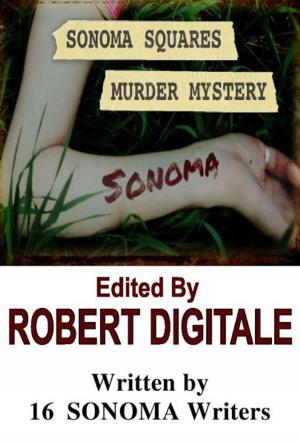 Cover of the book Sonoma Squares Murder Mystery by Randy Boyd