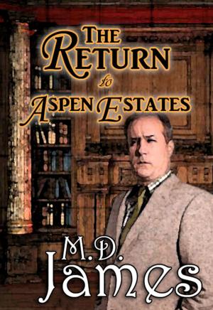 Cover of the book The Return to Aspen Estates (The Concord Series #3) by Rory Chambers