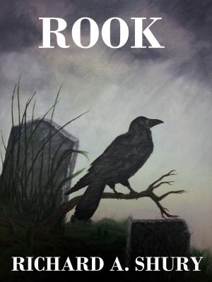 Cover of the book Rook by Tied Revolverman