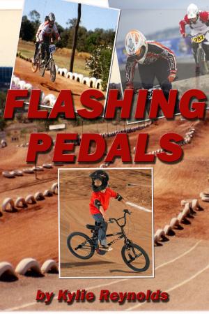 Cover of the book Flashing Pedals by Adil Masood Qazi