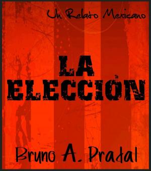 Cover of the book La Elección by 《明鏡月刊》編輯部
