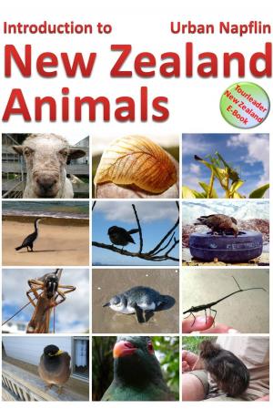 Cover of Introduction to New Zealand Animals