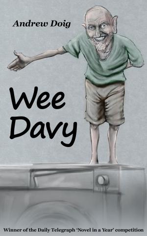 Cover of the book Wee Davy by Mandy Nachampassack-Maloney