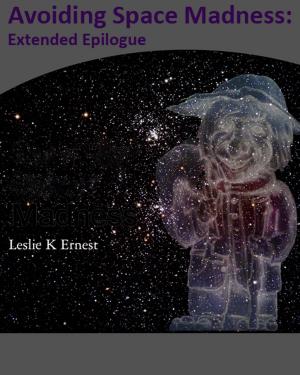Cover of the book Avoiding Space Madness: Extended Epilogue by Robert Scott Lemriel
