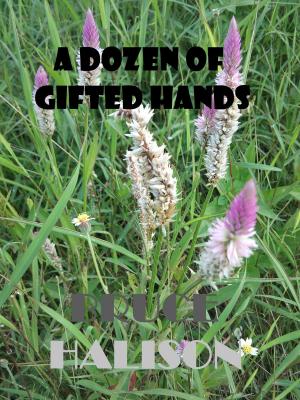 bigCover of the book A Dozen of Gifted Hands by 