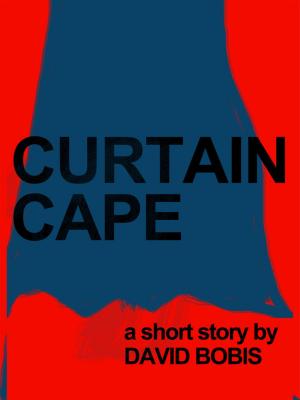 Cover of the book Curtain Cape by 魯迅