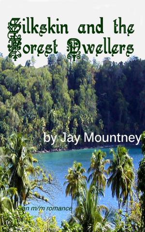 bigCover of the book Silkskin and the Forest Dwellers by 