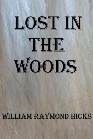 bigCover of the book Lost in the Woods by 