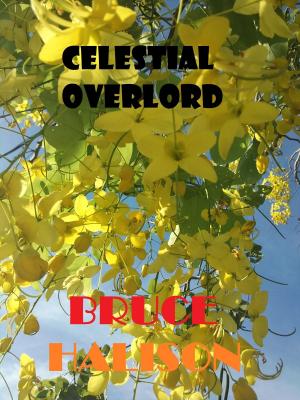 Cover of the book Celestial Overlord by Mike Allen