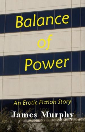 Cover of the book Balance of Power by Boots Hudson