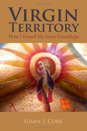 Cover of the book Virgin Territory: How I Found My Inner Guadalupe by Daniel Milstein