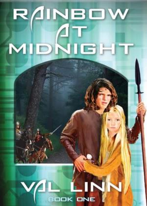 Cover of the book The Rainbow at Midnight by Robert Harkess