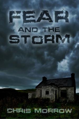 Cover of the book Fear And The Storm by Jamie Greening