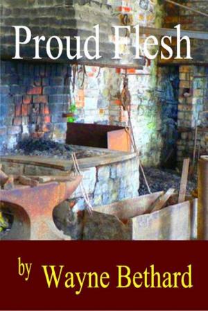 Cover of the book Proud Flesh by Adam Alexander Haviaras