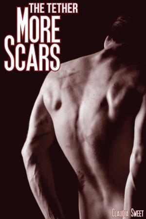 bigCover of the book The Tether: More Scars by 