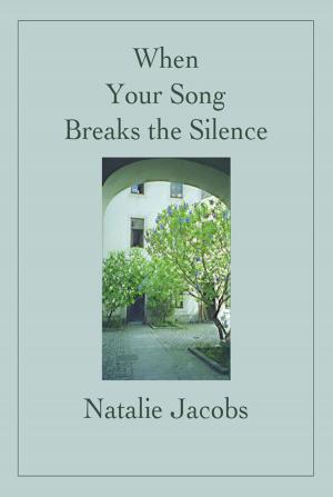 Book cover of When Your Song Breaks the Silence