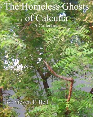 bigCover of the book The Homeless Ghosts of Calcutta, A Collection. by 