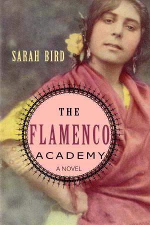 Cover of the book "The Flamenco Academy" by Jessica Stott