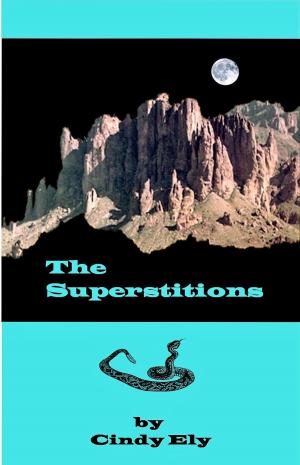 bigCover of the book The Superstitions by 