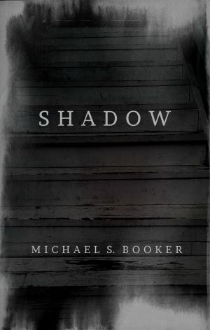 Cover of the book Shadow by Michael S