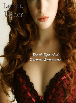 Cover of the book Break Ups And Discreet Encounters by Leilani Waltz
