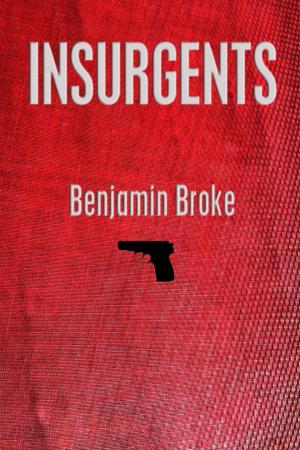 Cover of the book Insurgents by Dawn Pitts