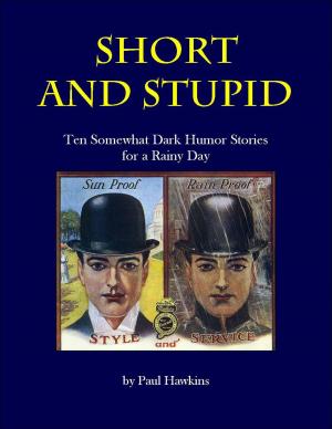Book cover of Short and Stupid: Ten Somewhat Dark Short Stories for a Rainy Day