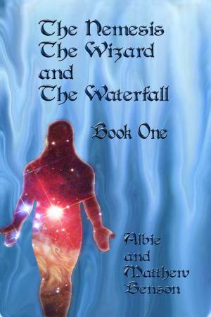 Cover of the book The Nemesis, The Wizard and The Waterfall. Book One. by Tess Williams