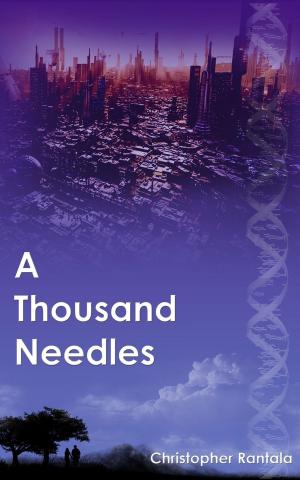 Cover of A Thousand Needles