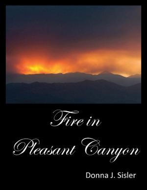 bigCover of the book Fire in Pleasant Canyon by 