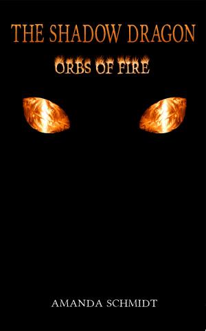 Book cover of The Shadow Dragon: Orbs of Fire