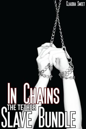 Cover of the book The Tether: In Chains by Delilah Divine