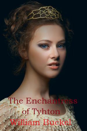 Cover of the book The Enchantress of Tyhton by Robert Luis Rabello
