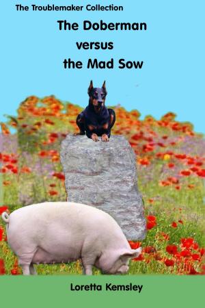 Book cover of Hans and the Mad Sow