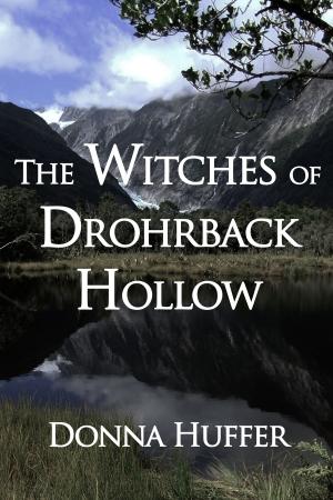 bigCover of the book The Witches of Drohrback Hollow by 